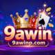 9awinp.com favicon